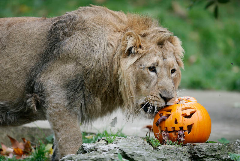 Image via Getty.